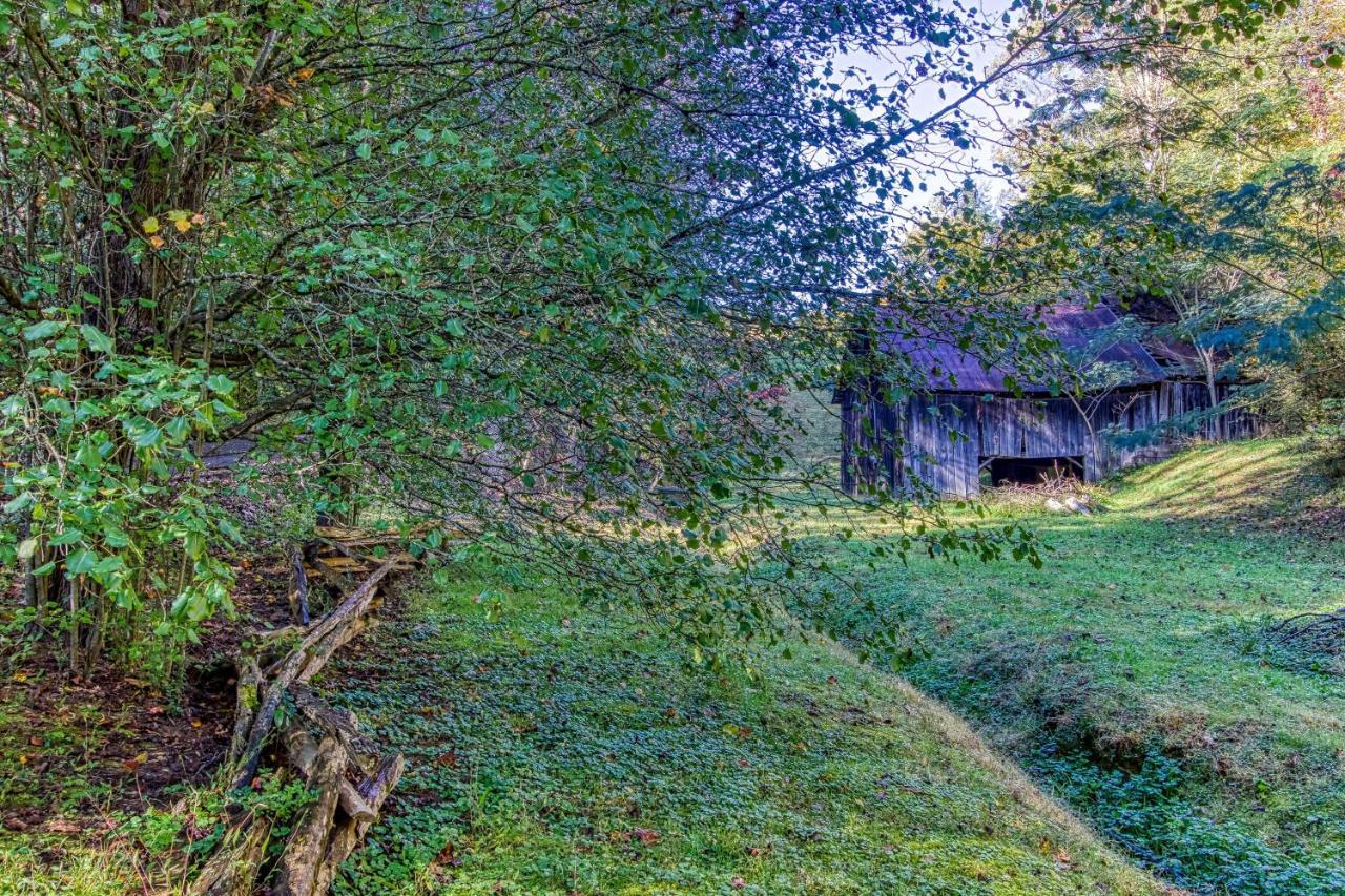 Cozy Creek Cabin Пиджен-Фордж Экстерьер фото